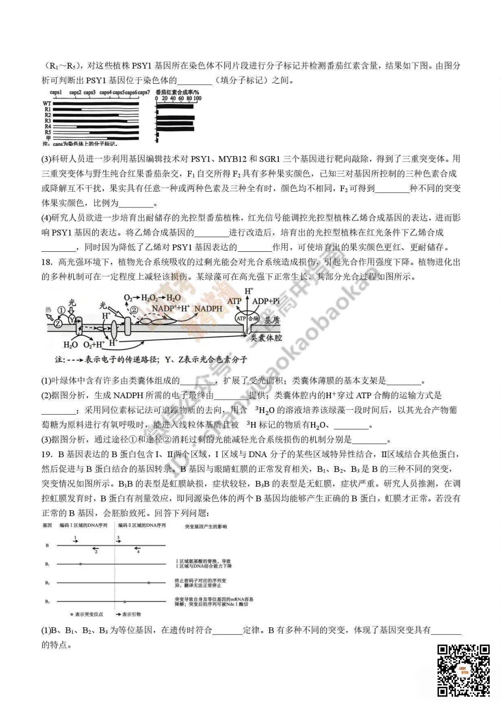 陕西校联2026届高三第二次模拟测试全科试题与答案! 第154张 陕西校联2026届高三第二次模拟测试全科试题与答案! 第154张