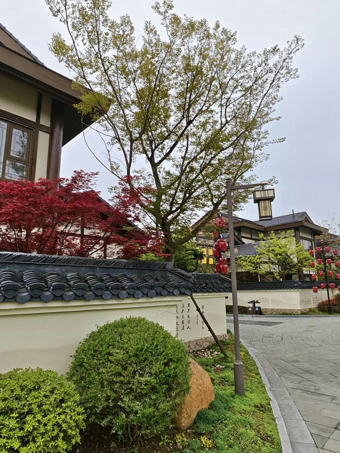 别让满分试卷,困住孩子的创新光芒 第3张 别让满分试卷,困住孩子的创新光芒 第3张