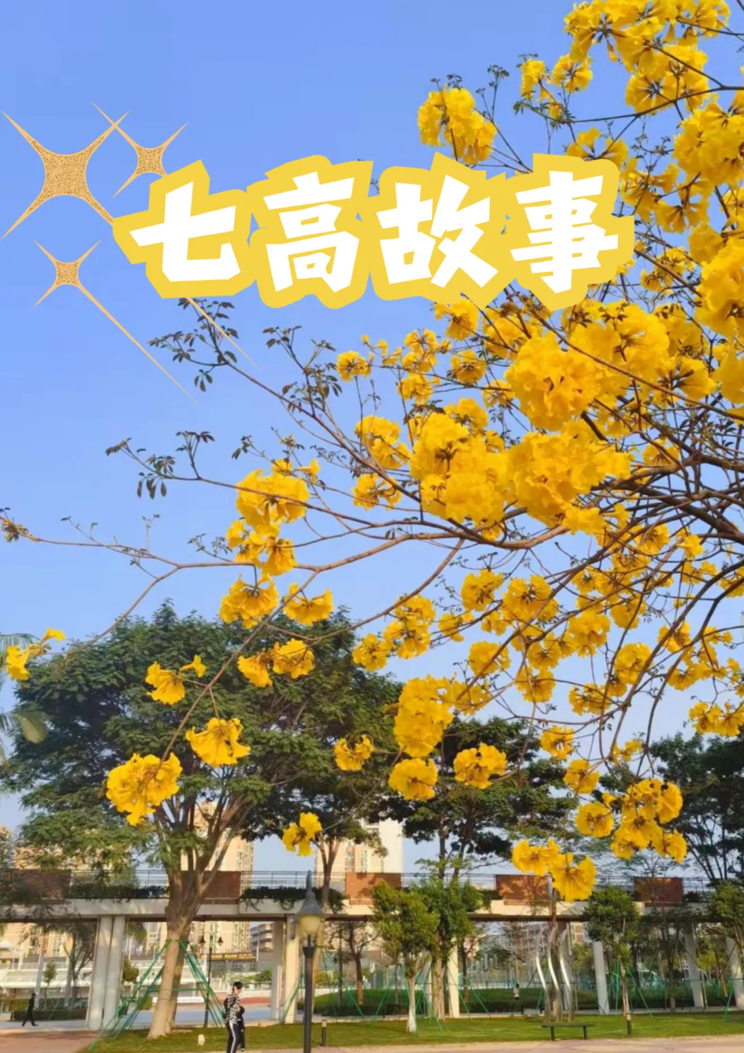 1分钟,体育中考提分指南! 第22张
