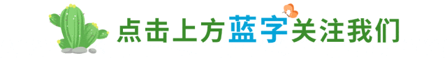 同心同力 奋战中考|我校2026中考动员大会圆满举行 第1张