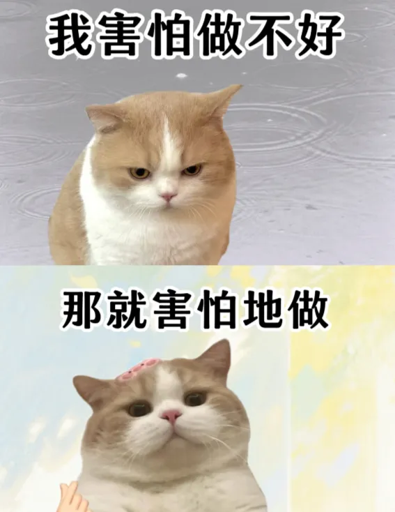 剑雅4-21保姆级使用攻略|免费领真题+全套雅思备考资料 第6张