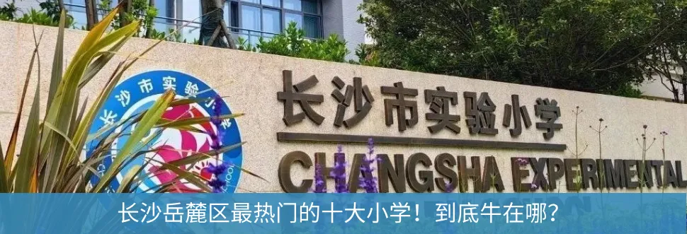 2026长沙中考人数暴涨11.7%!四大率&公办普高率要跌了?-第14张图片-四季读书网 2026长沙中考人数暴涨11.7%!四大率&公办普高率要跌了?-第14张图片-四季读书网