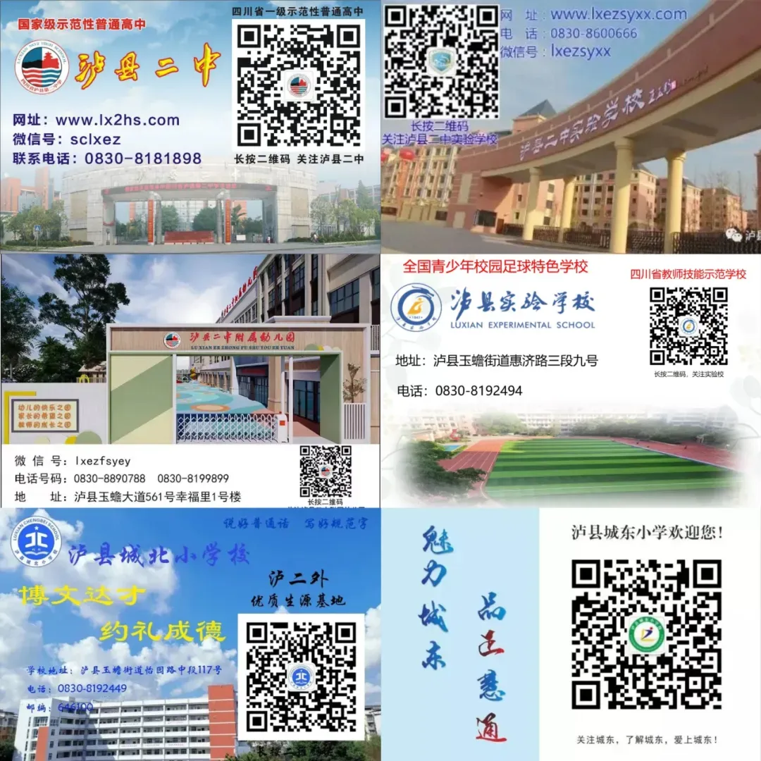 泸二外举行2026届中考倒计时60天誓师大会 第66张
