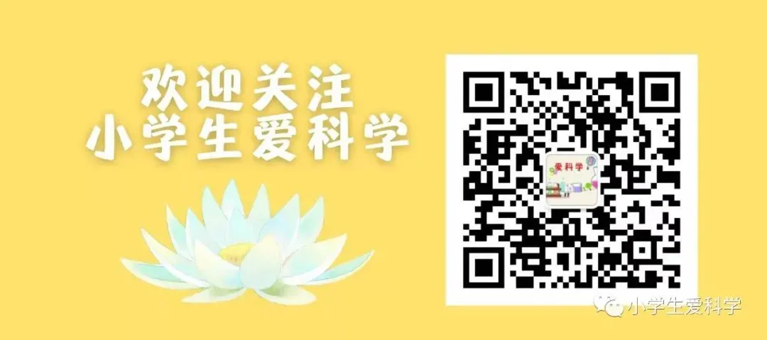 新苏教版科学五年级下册全套单元试卷 第5张