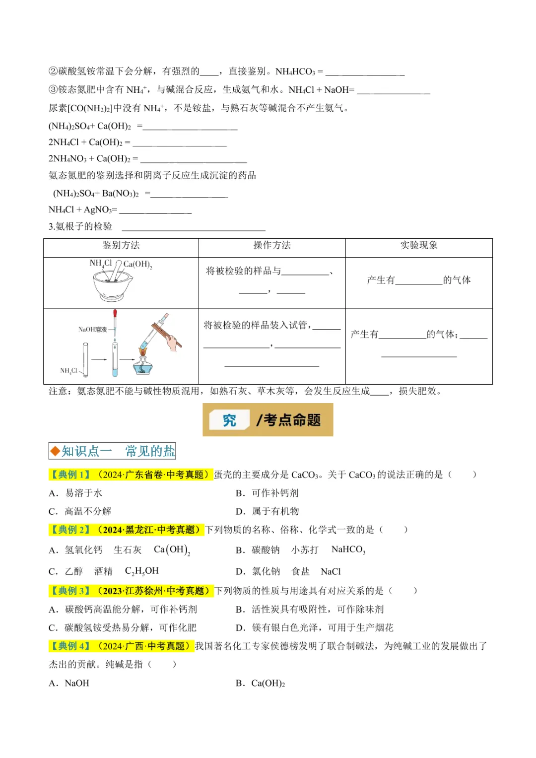 中考专项化学 《专题07 盐和化肥》知识梳理+专项复习 第20张 中考专项化学 《专题07 盐和化肥》知识梳理+专项复习 第20张