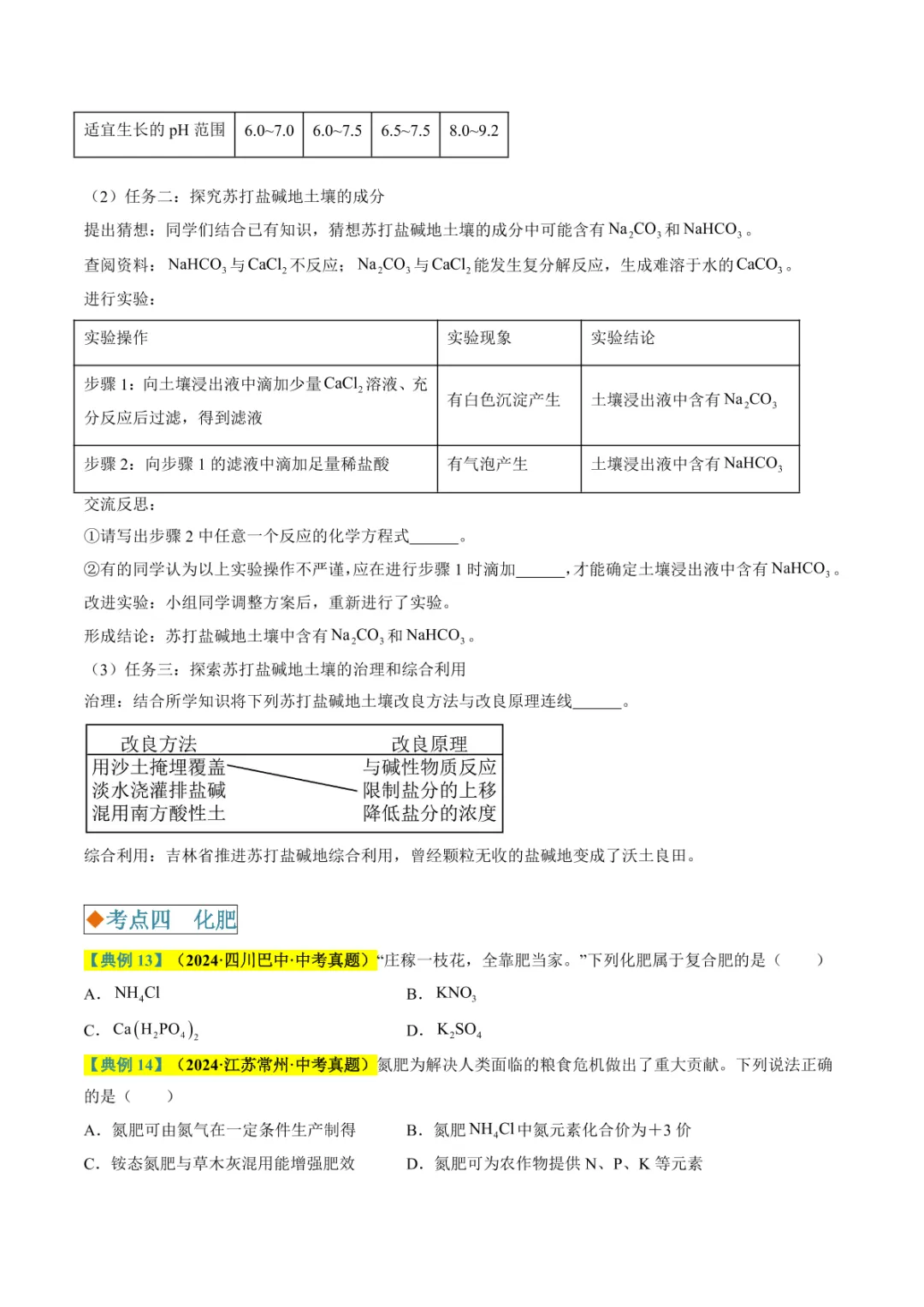 中考专项化学 《专题07 盐和化肥》知识梳理+专项复习 第23张 中考专项化学 《专题07 盐和化肥》知识梳理+专项复习 第23张