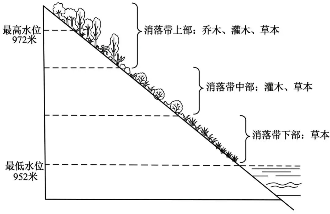 云南红河2026年高中三考前预测地理试卷 第5张 云南红河2026年高中三考前预测地理试卷 第5张