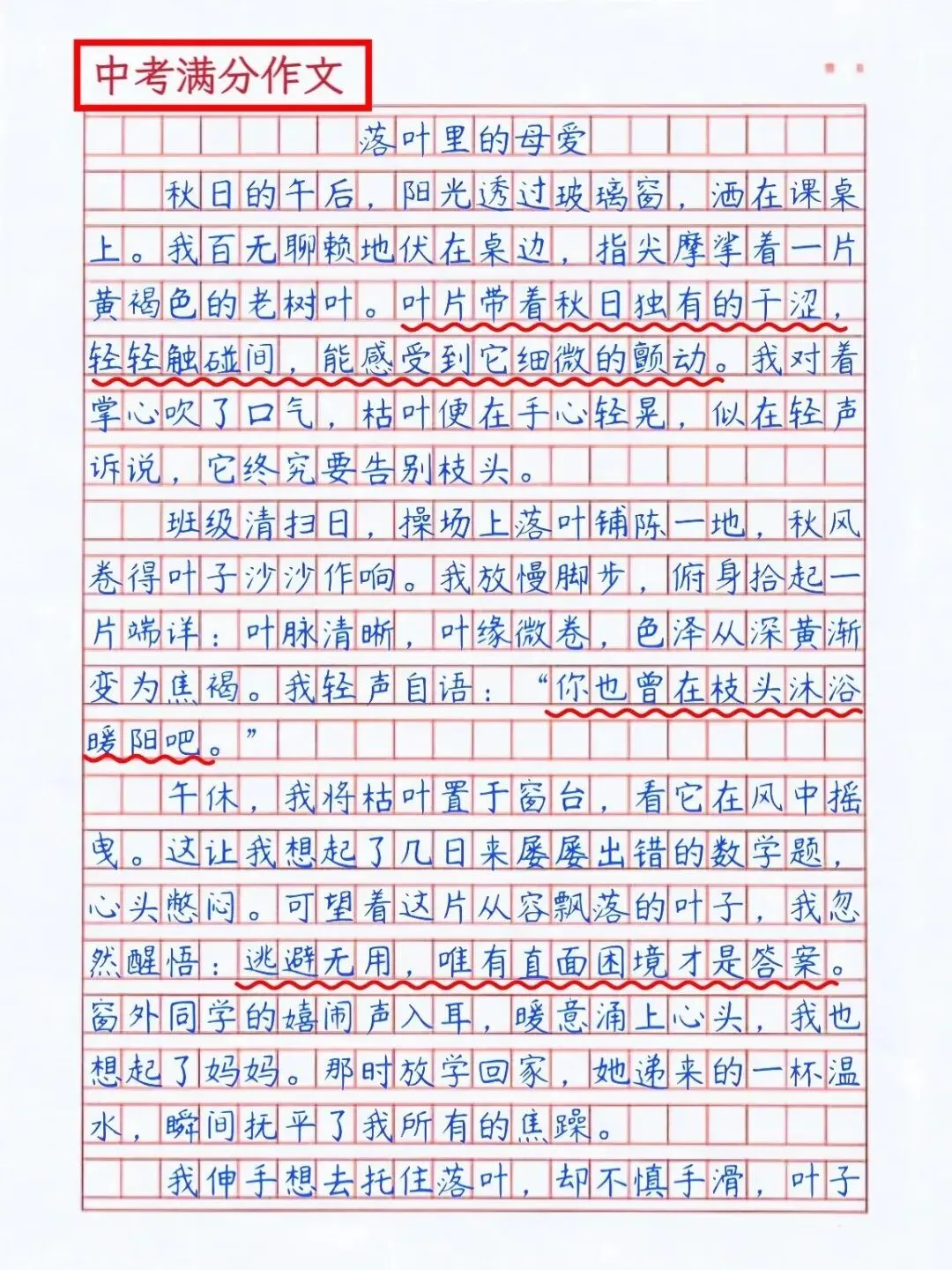 中考满分作文《那片落叶》 第3张 中考满分作文《那片落叶》 第3张