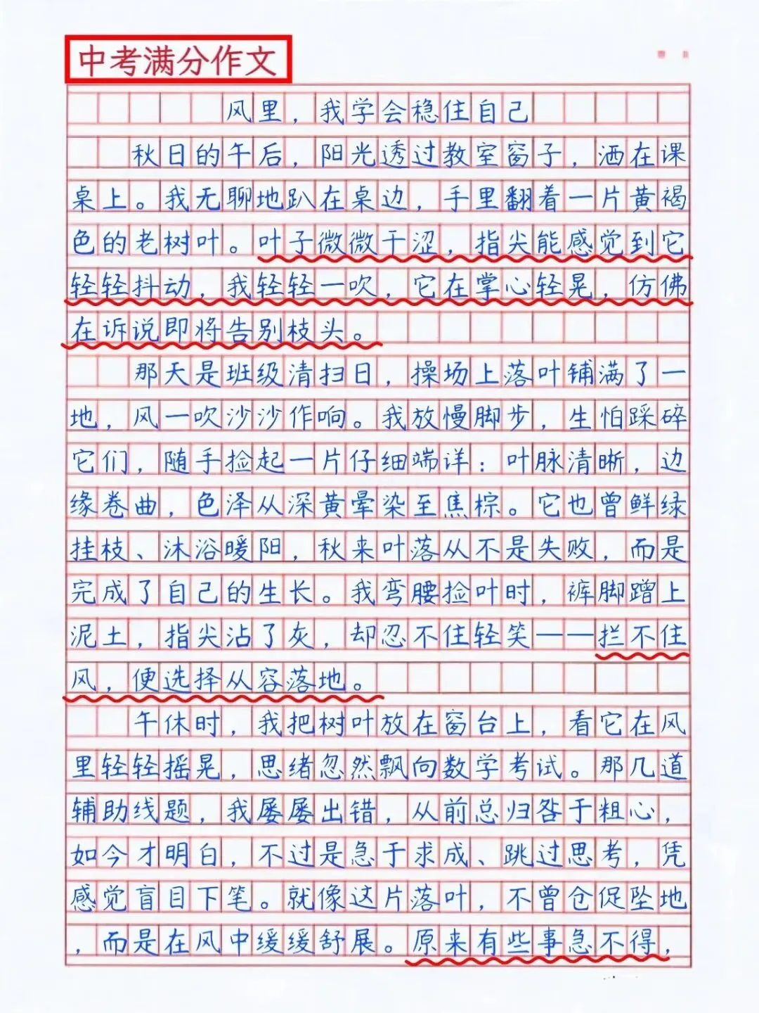 中考满分作文《那片落叶》 第5张 中考满分作文《那片落叶》 第5张