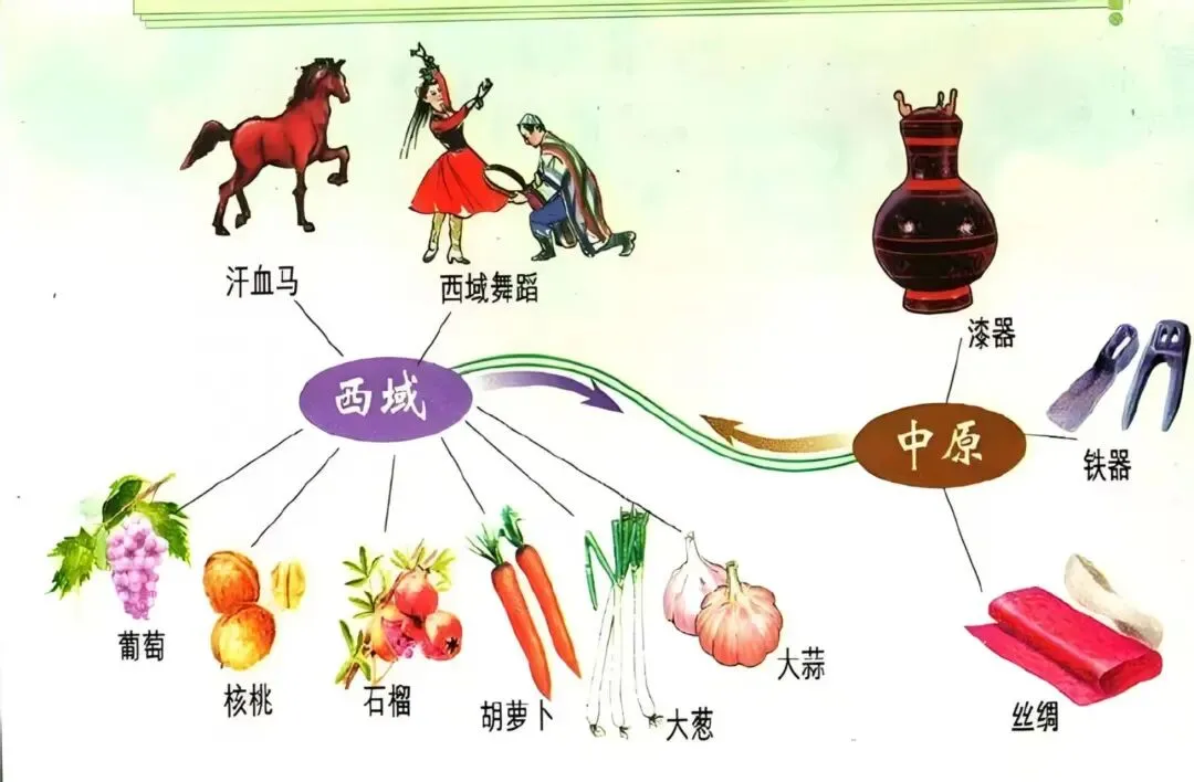 中考历史复习之中国古代史考点——农业篇 第2张