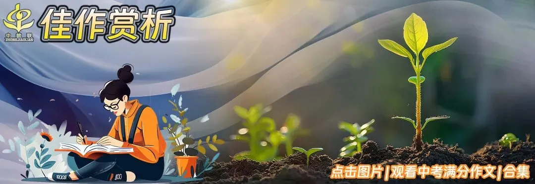 【百日冲刺】中考二轮复习:文言文26篇+现代诗文22篇高频错字靶向突破 第12张