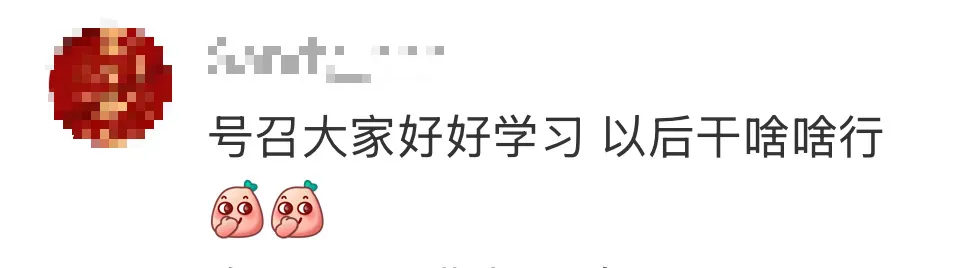 张凌赫上了江苏英语试卷,多名网友晒试卷题目,去年张凌赫曾以《爱你》中所饰角色何苏叶登上合肥二模,还有网友晒出其文言文版介绍 第8张