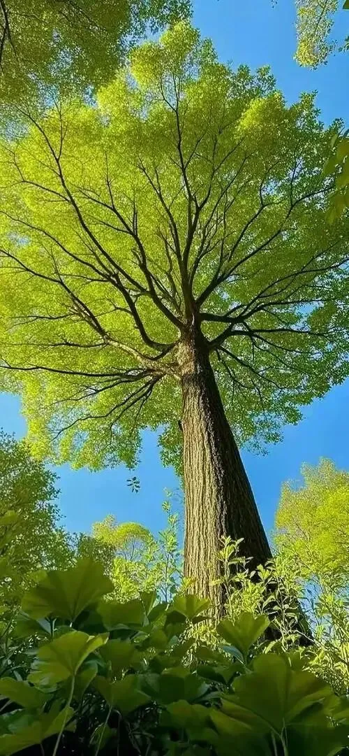 中考名著复习(一) 第1张