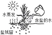 中考化学每日一题必刷题 第1张