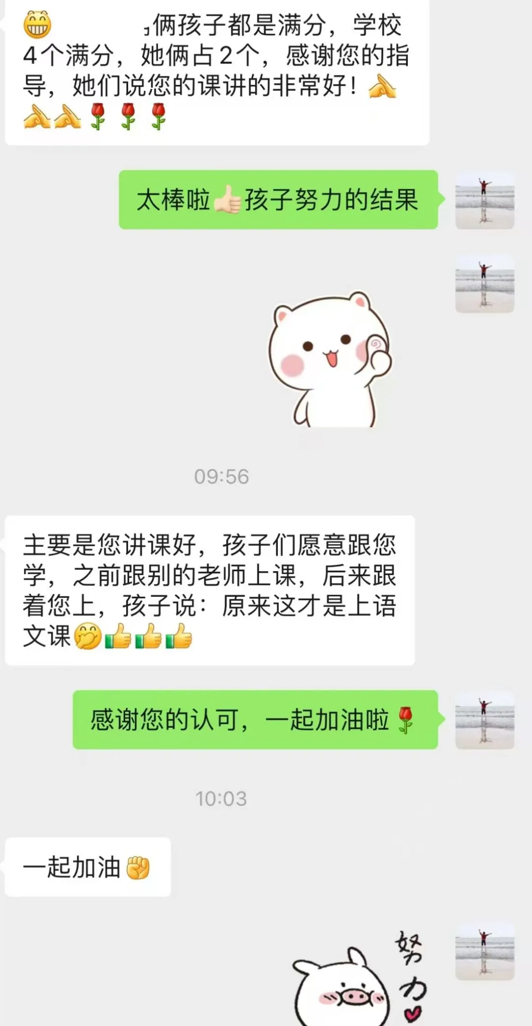 中考语文满分名师智书:携三轮中考毕业班经验,暑假回带新初一! 第11张