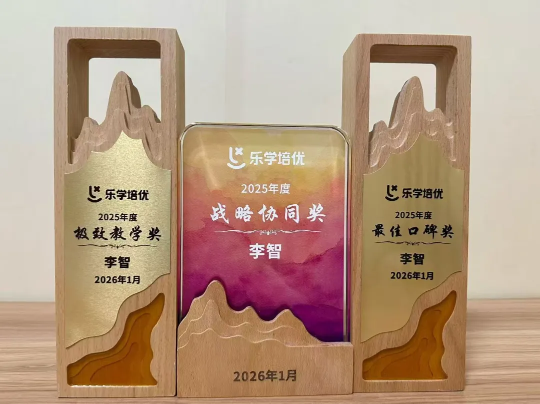 中考语文满分名师智书:携三轮中考毕业班经验,暑假回带新初一! 第17张
