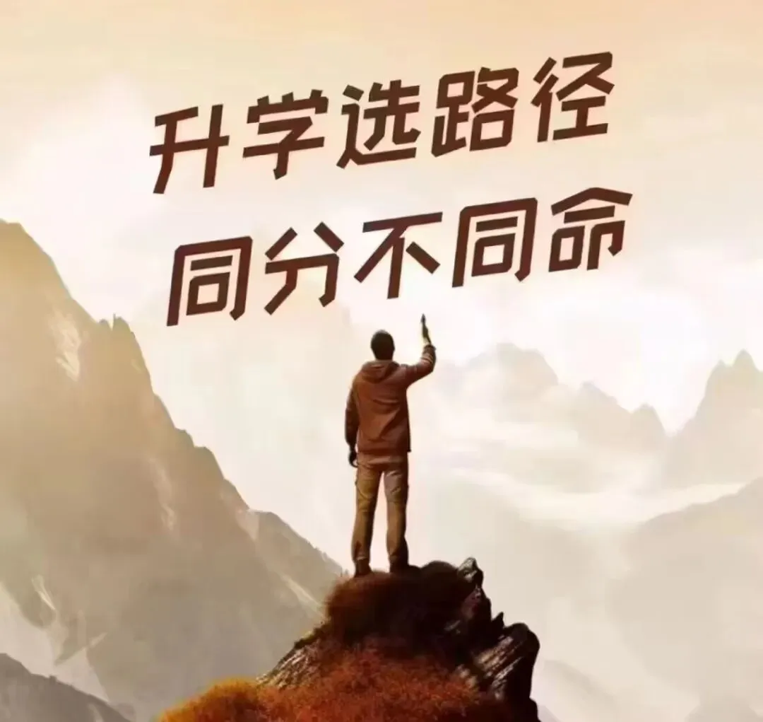 【中考升学规划】初中毕业生升学路径选择规划路线图之我见 第10张