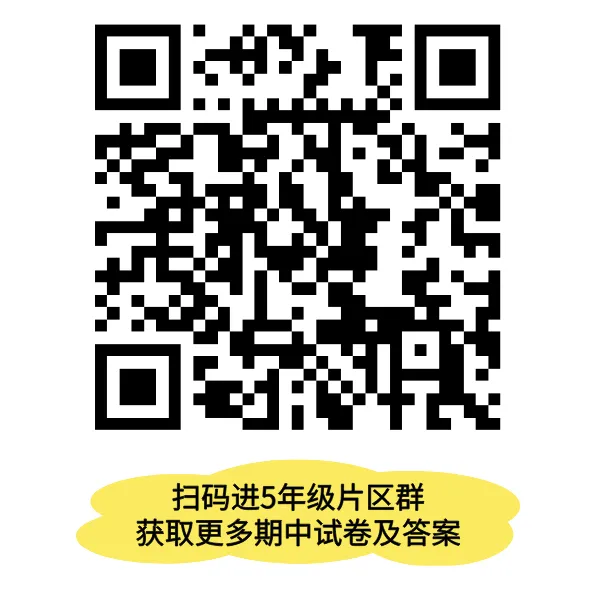 【5年级美加外校数学试卷】2024-2025下学期期中 第2张