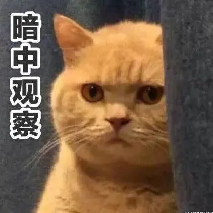 体育中考来了,班主任怎么做? 第1张