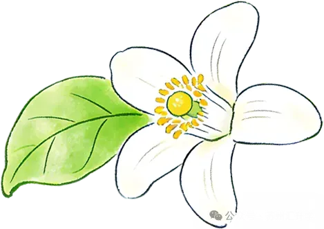 中考扩招?苏州实验+苏大附中开放日反馈!市三中+黄埭开放日通知 第12张