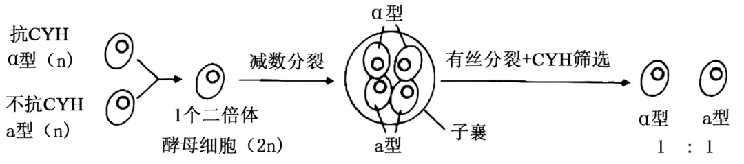 2026届北京市西城区高三一模测试试卷生物 第3张