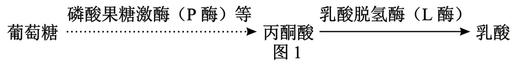 2026届北京市西城区高三一模测试试卷生物 第11张