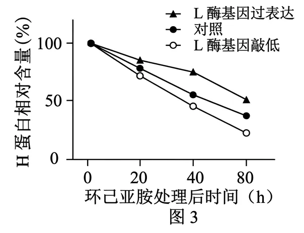 2026届北京市西城区高三一模测试试卷生物 第13张
