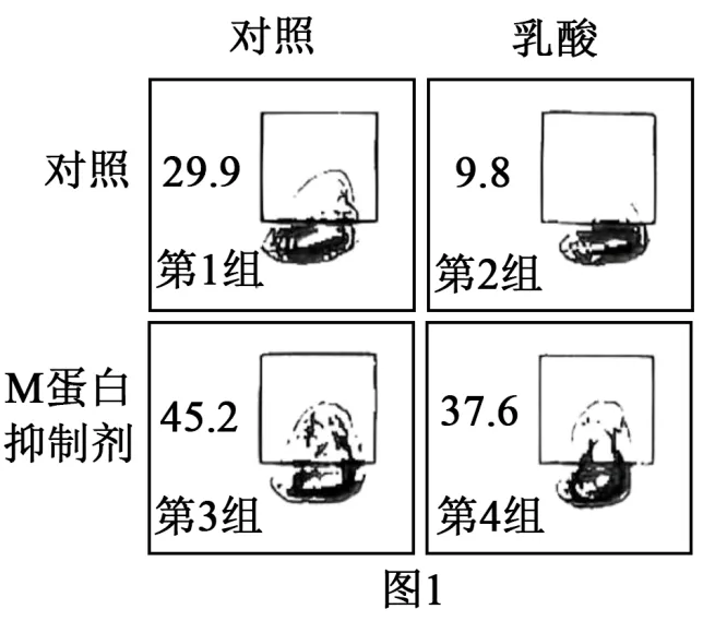 2026届北京市西城区高三一模测试试卷生物 第14张