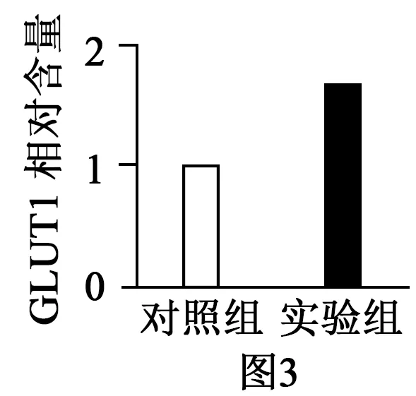 2026届北京市西城区高三一模测试试卷生物 第16张
