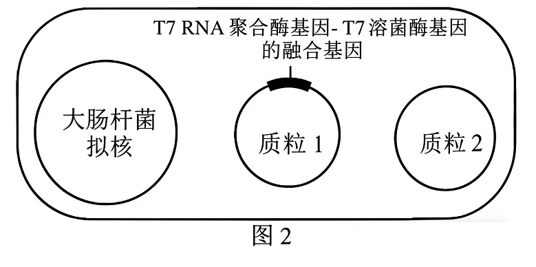2026届北京市西城区高三一模测试试卷生物 第20张