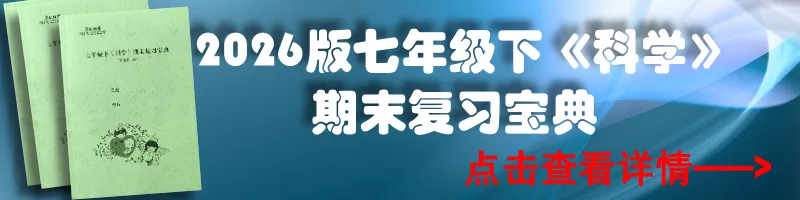 中考化学 | 夯实基础・模块突破 —— 基础知识系统复习(可下载电子版) 第24张