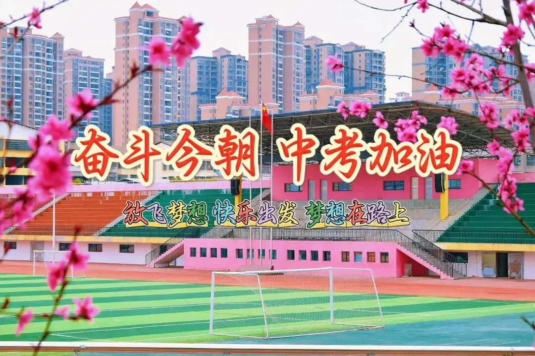 聚焦中考 精准备考——永州九中2026年中考复习示范课活动圆满落幕 第55张
