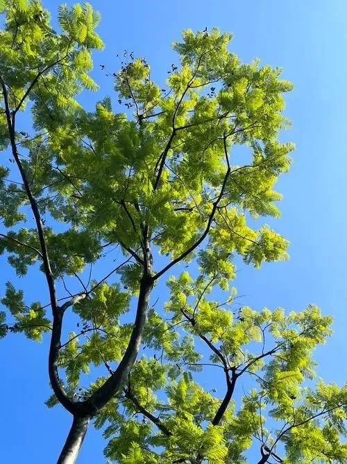 中考名著复习(二) 第1张