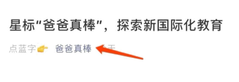 上海中考14万人创新高!这个外地普娃杀进上海IB名校,我才看懂国际高中的残酷规则… 第1张