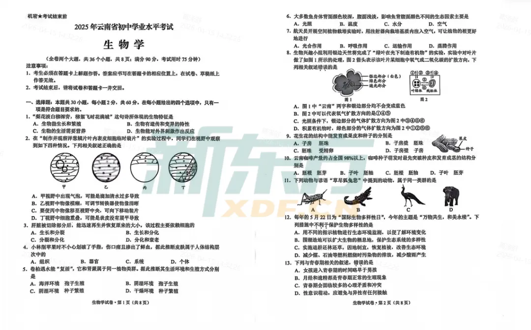 【地生会考】近5年云南省地理、生物中考真题免费领取(附答案) 第9张