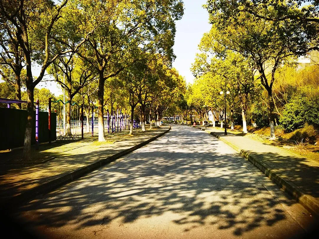 中考倒计时62天|时光匆匆,冲刺在即 第2张