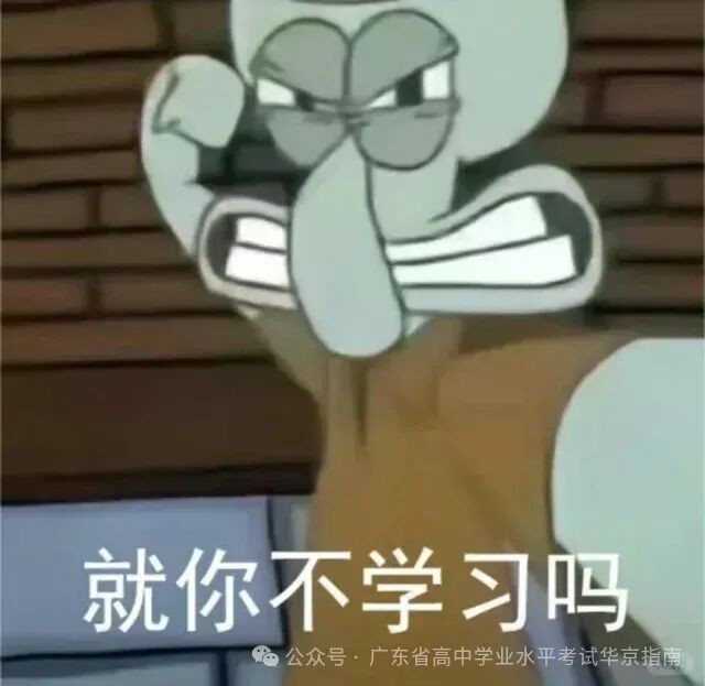 中考一次选择,七年直达本科!2026广州中本贯通试点名单出炉,这些中职学校要火了! 第12张