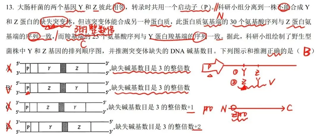 【安徽省份】2025年高考生物基因工程真题讲解 第7张