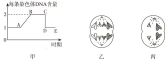 生物试卷+答案|高一下学期期中考试河南濮阳联考 第2张