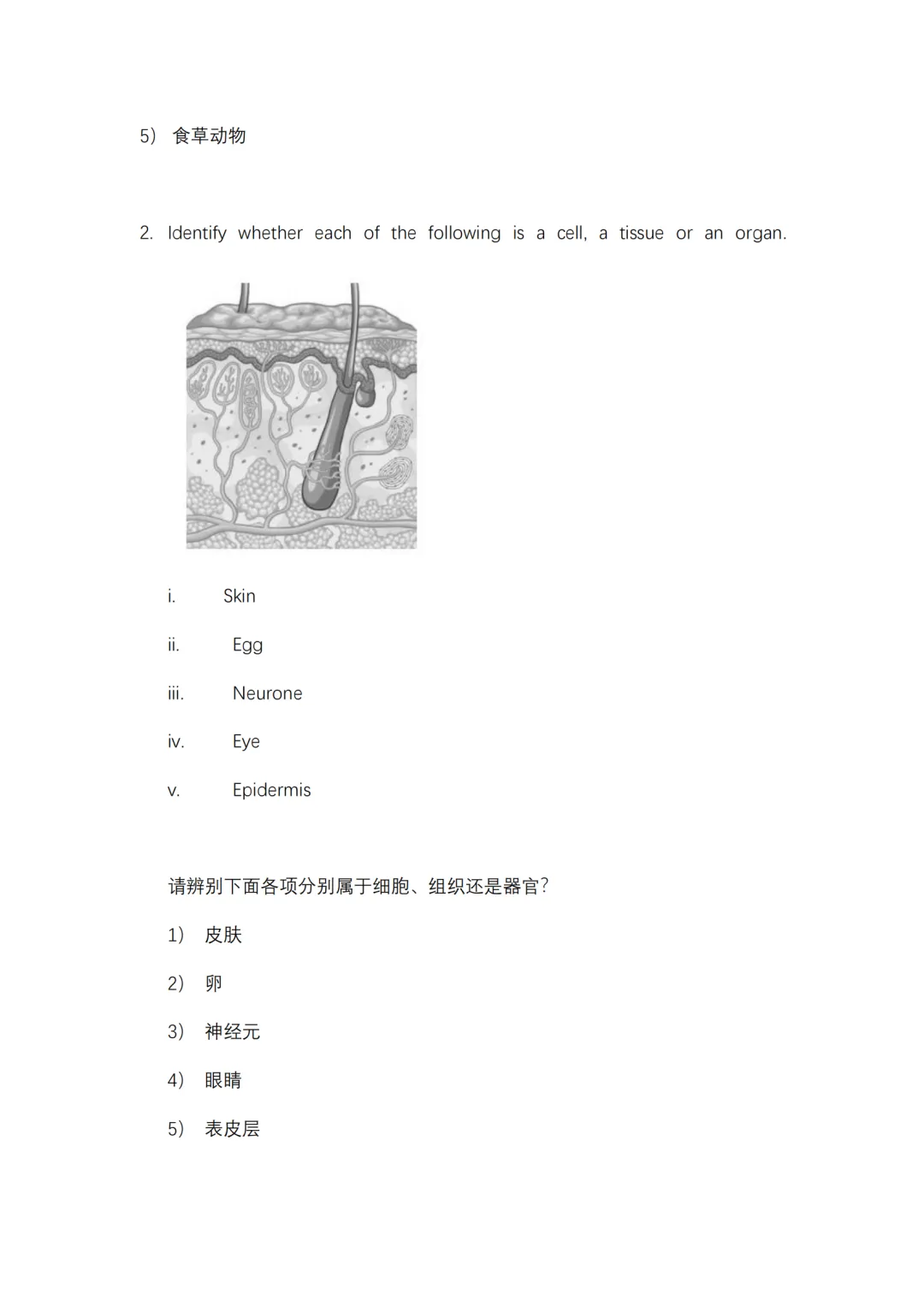 刷透BC生物真题,备考少走80%弯路!考前冲刺版 第3张 刷透BC生物真题,备考少走80%弯路!考前冲刺版 第3张