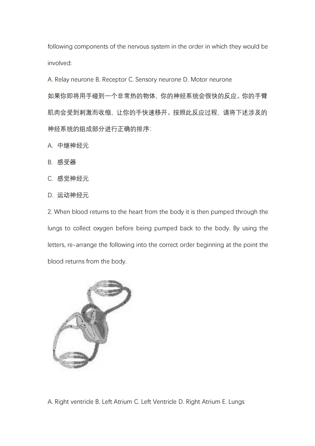 刷透BC生物真题,备考少走80%弯路!考前冲刺版 第11张 刷透BC生物真题,备考少走80%弯路!考前冲刺版 第11张
