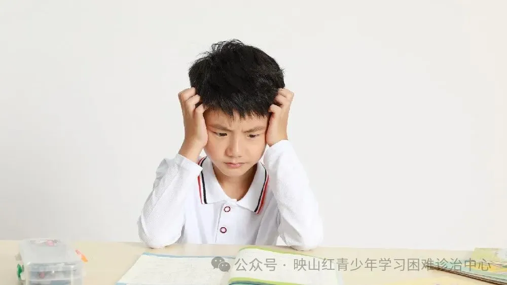 同心筑梦,冲刺中考|4月15日下午,映山红心理咨询为华朗学校初三学子开展亲子心理团辅 第31张