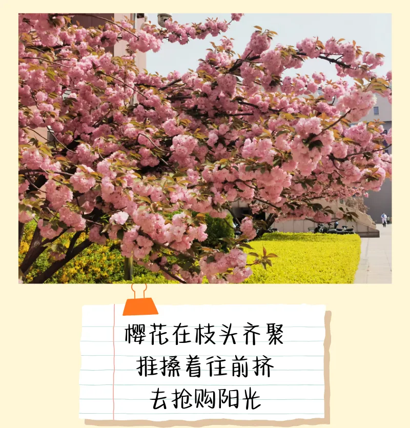 震惊!校园里竟然藏着一道完形填空真题 第6张