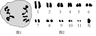 生物试卷+答案|高一下学期4月青桐鸣大联考 第4张