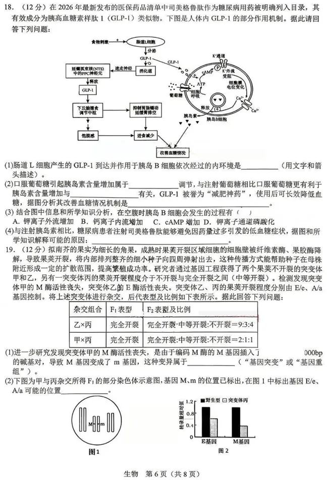 江西省宜春市2026年高三年级4月模拟考试(宜春二模)(4.8-4.9)生物试卷 第7张