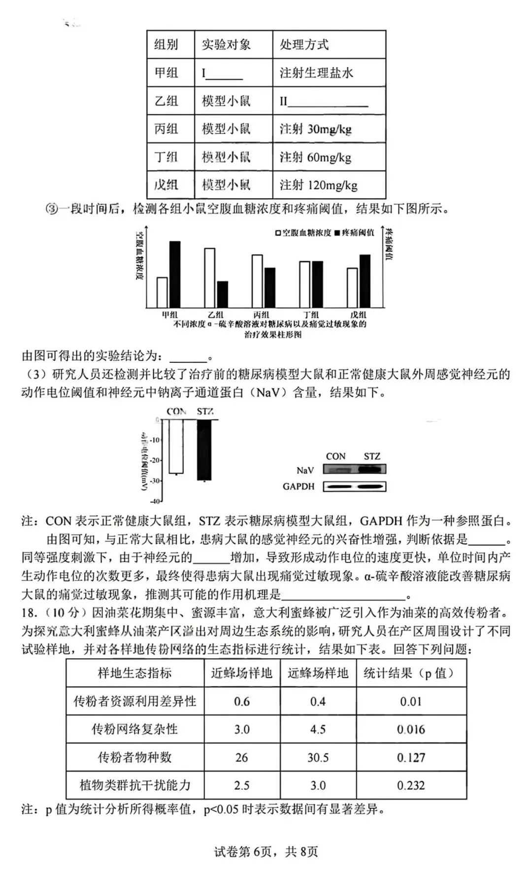 2026届成都七中高三二诊模拟考生物学试题和答案(附word下载) ⊙ 第12张 2026届成都七中高三二诊模拟考生物学试题和答案(附word下载) ⊙ 第12张