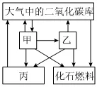 2026初中生物学模拟测试六 第6张