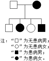 2026初中生物学模拟测试六 第11张
