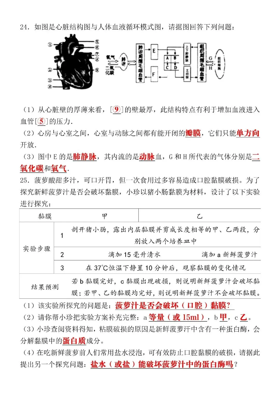 2026七下生物(人教版)期中考试押题试卷(含答案),家长速打印给孩子练习! 第8张