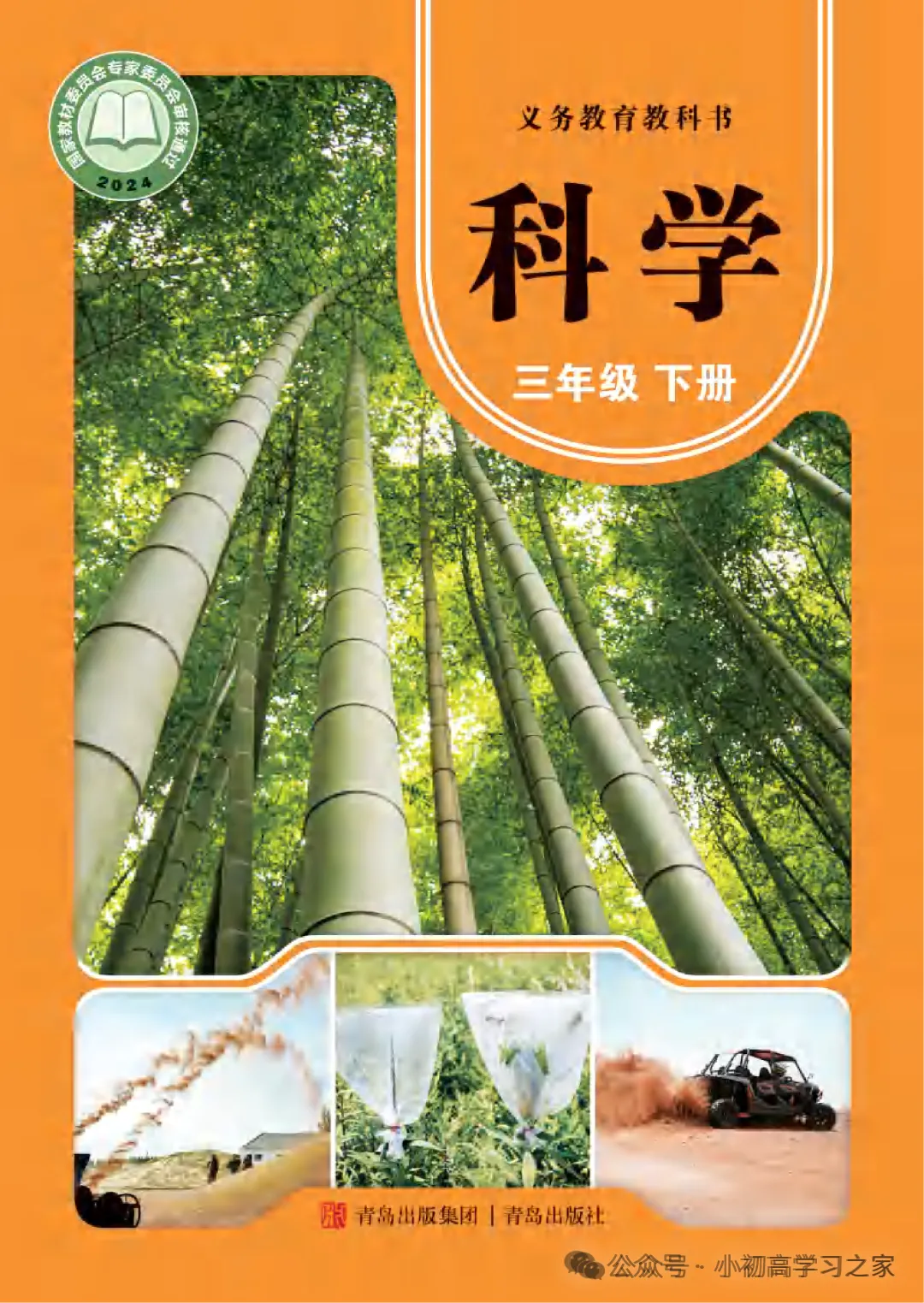 试卷习题║新青岛版三下科学第一单元第2课《肠道传染病》课时习题(2026春新教材),小学科学三年级下册课课练大全! 第3张